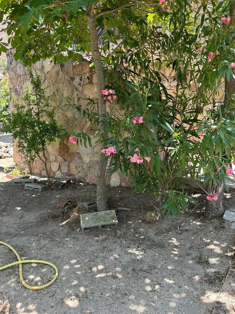 Jardín de Casa o chalet en venta en Colmenarejo con Calefacción, Jardín privado y Terraza