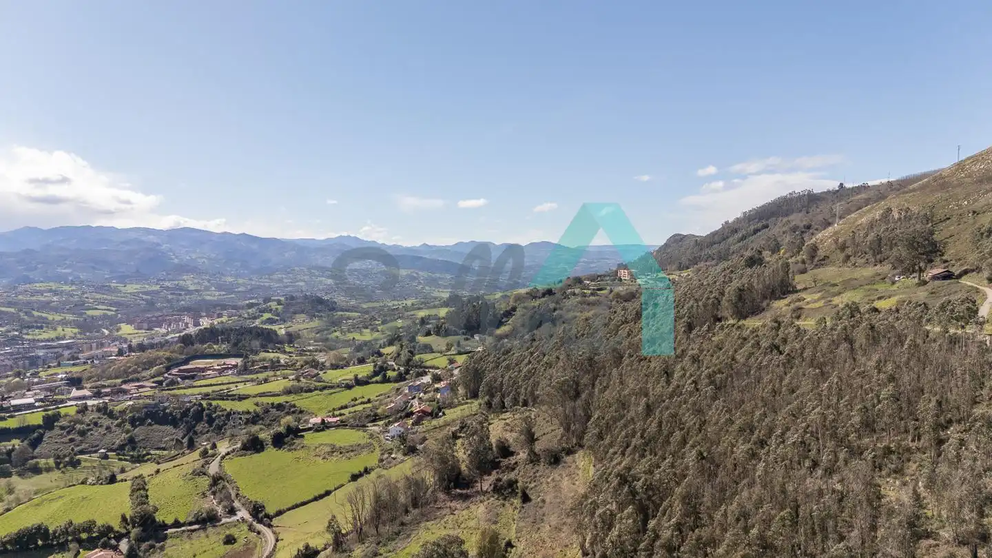 Casa o xalet en venda en Oviedo  amb Jardí privat, Terrassa i Traster