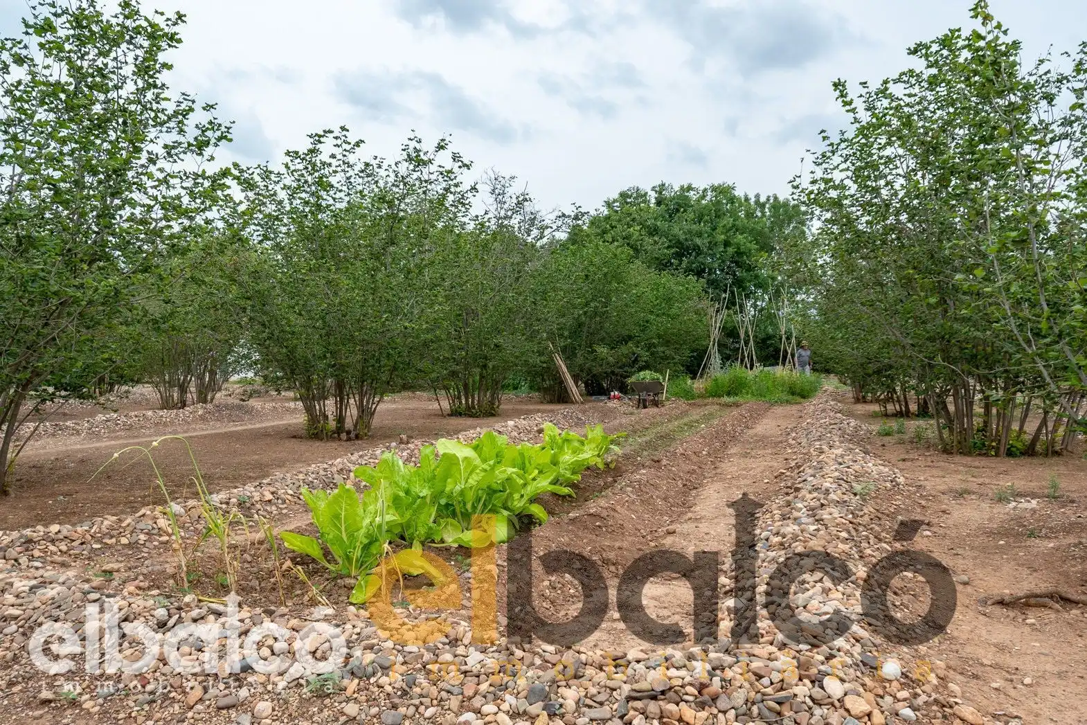 Country homes for sale in Valls  with Terrace, Swimming Pool and Furnished