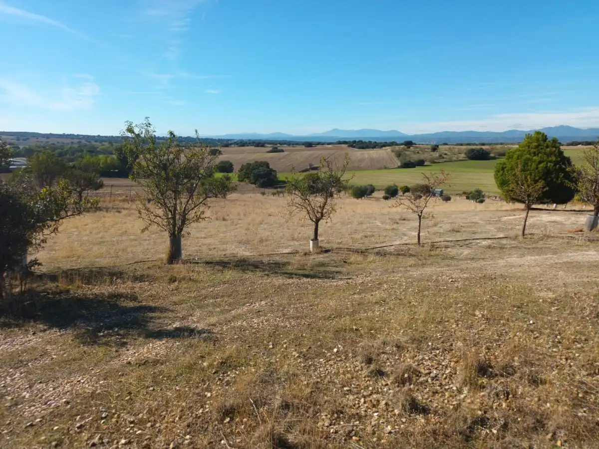 Finca rústica en venta en Brunete
