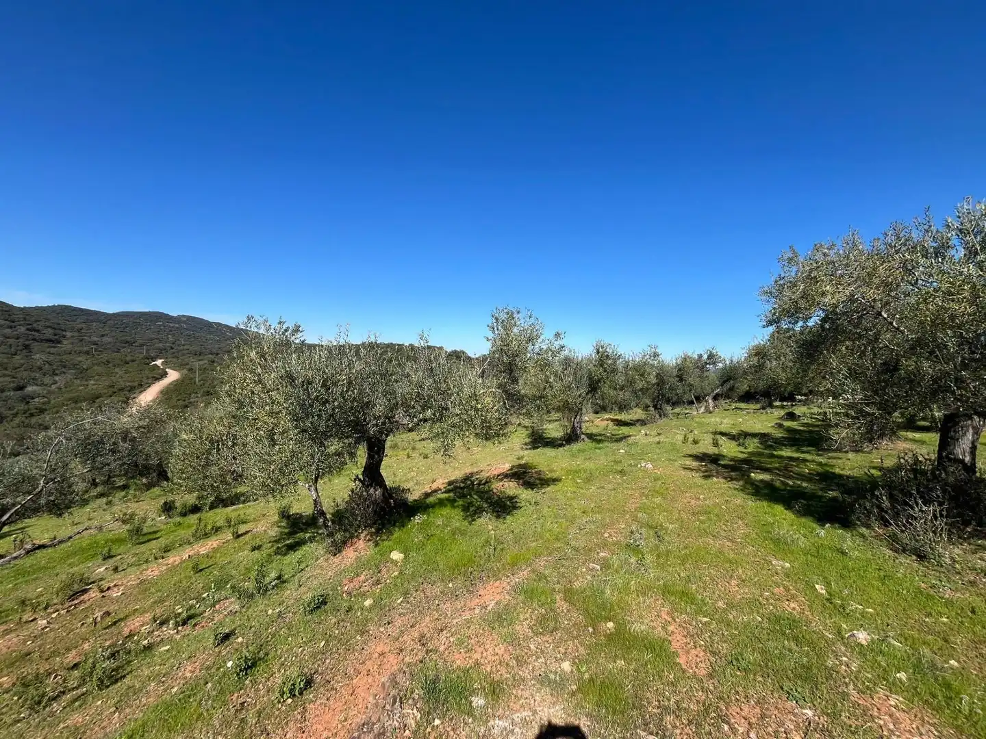 Terreni e lotti in vendita a Zufre, imagen 17