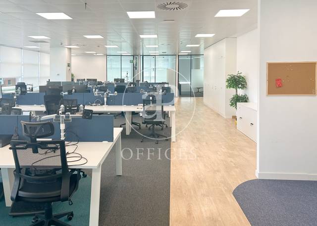 Oficina en Alquiler en El Viso