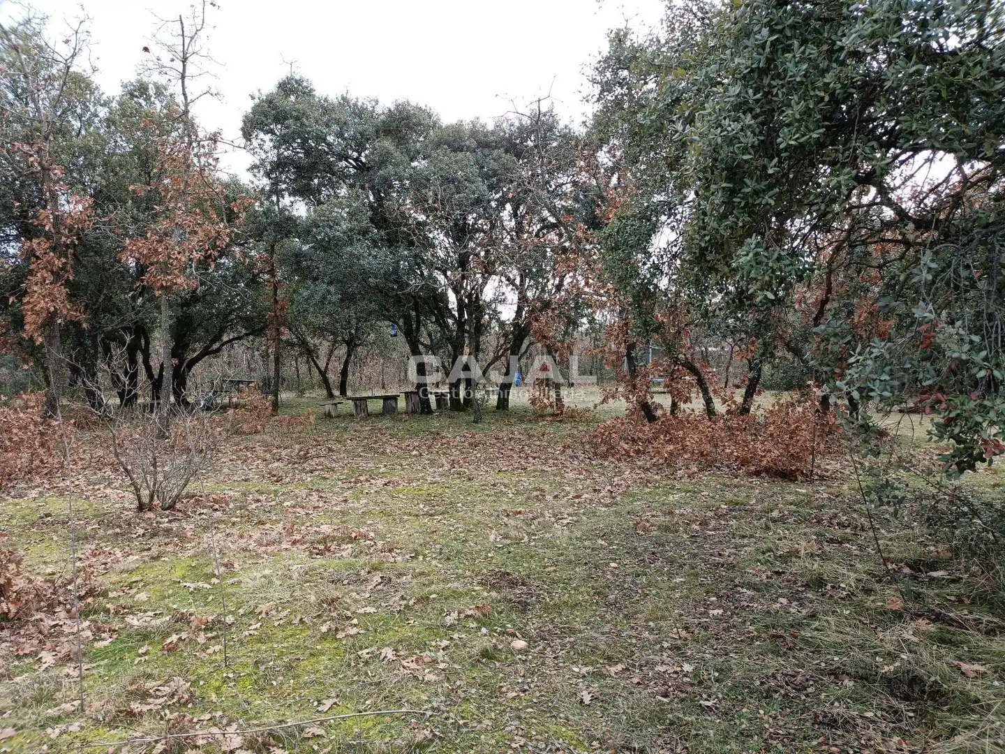 Casa o chalet en venta en Castillejo de Mesleón con Calefacción