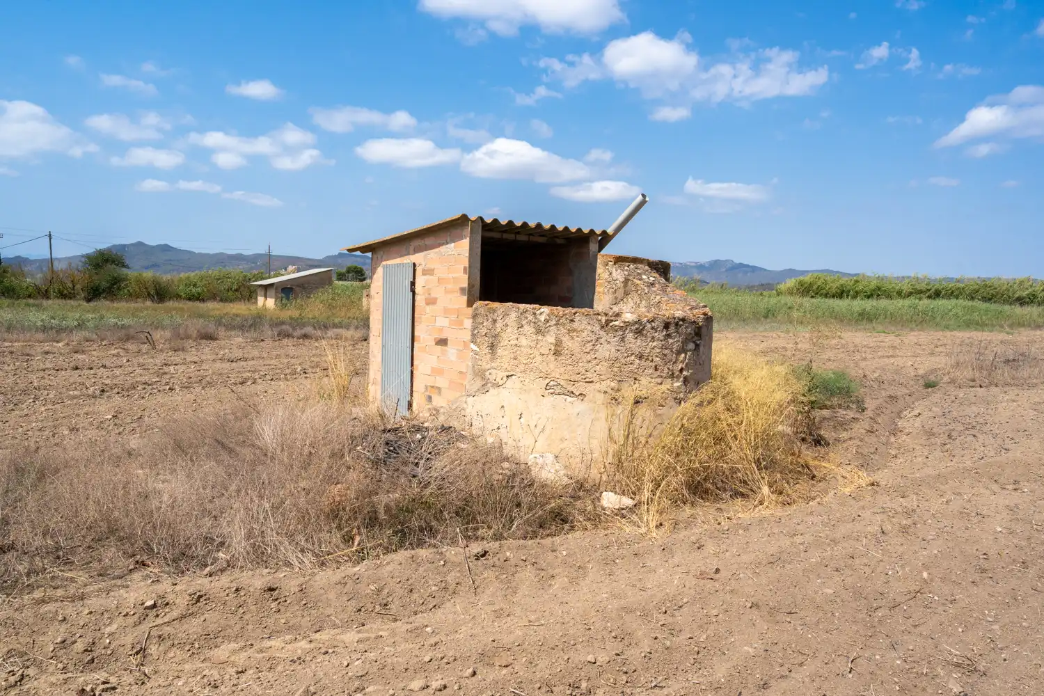 Rural land for sale in Ginestar, imagen 6