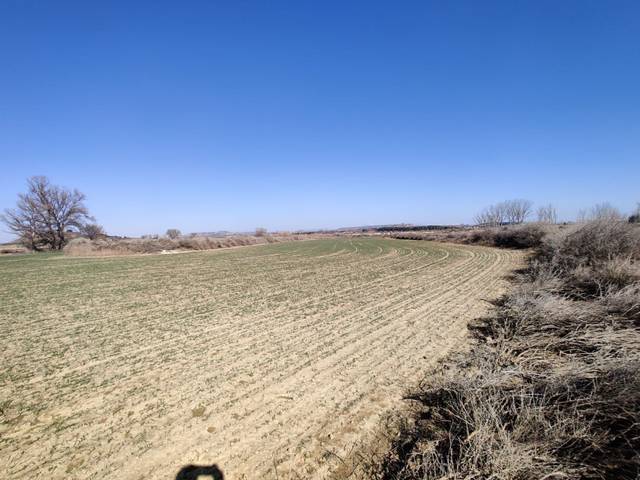 Terreno en Venta en Lalueza