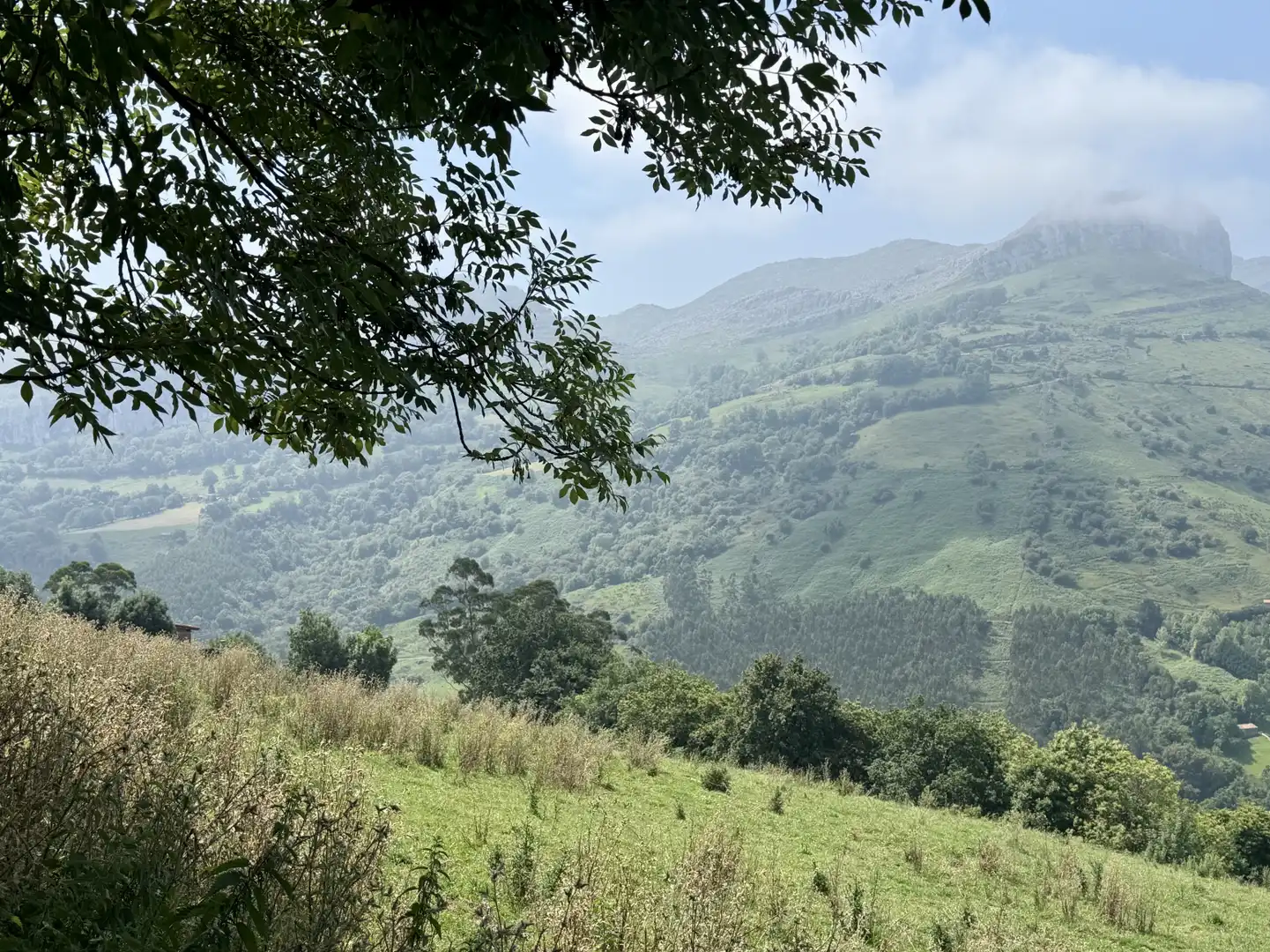 Vista exterior de Casa o chalet en venta en Liérganes con Jardín privado