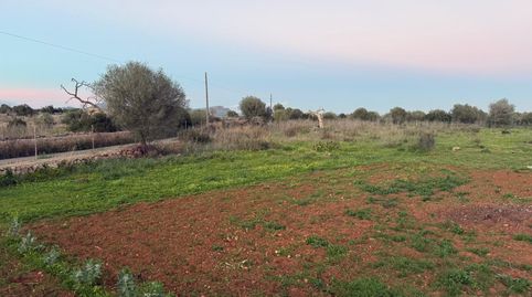 Foto 2 de Terreno en venta en Carretera Manacor-porto Cristo, Km 2., S'Illot - Cala Morlanda, Manacor