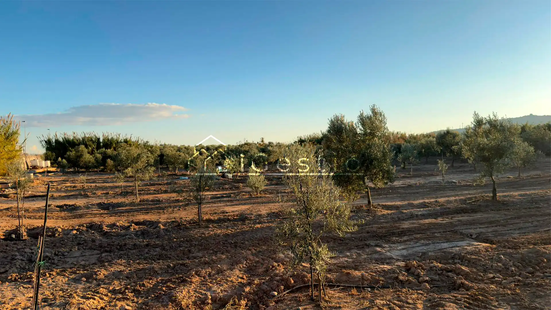 Land for sale in Sant Feliu de Llobregat