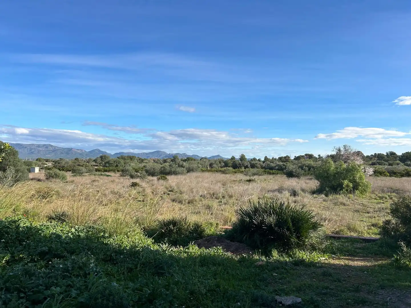 Rural land for sale in La Conarda - Montesano, imagen 3