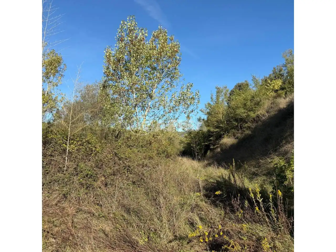 Terreno en venta en Cardedeu
