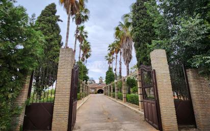 Vista exterior de Finca rústica en venda en Alcalá de Guadaira