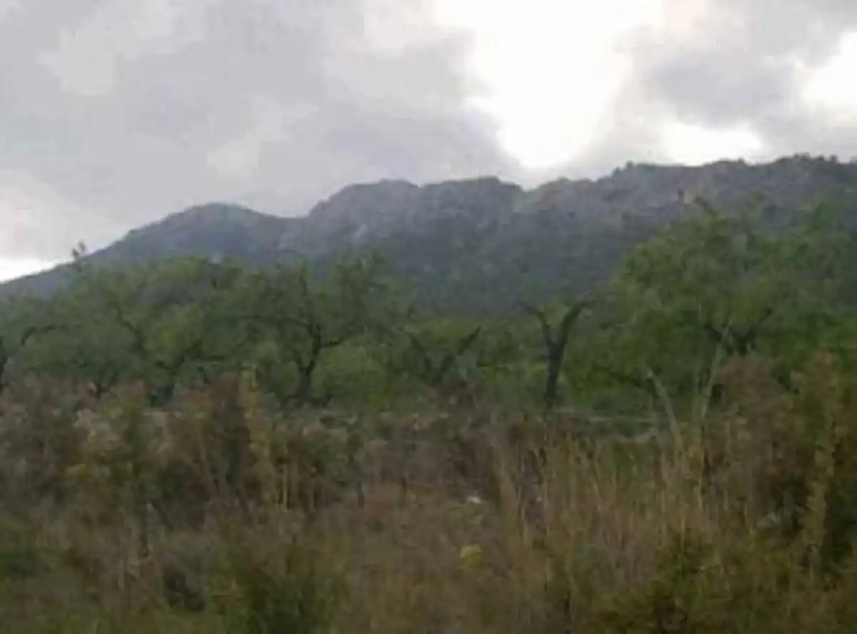 Terrain résidentiel à vendre à Casco urbano, imagen 2