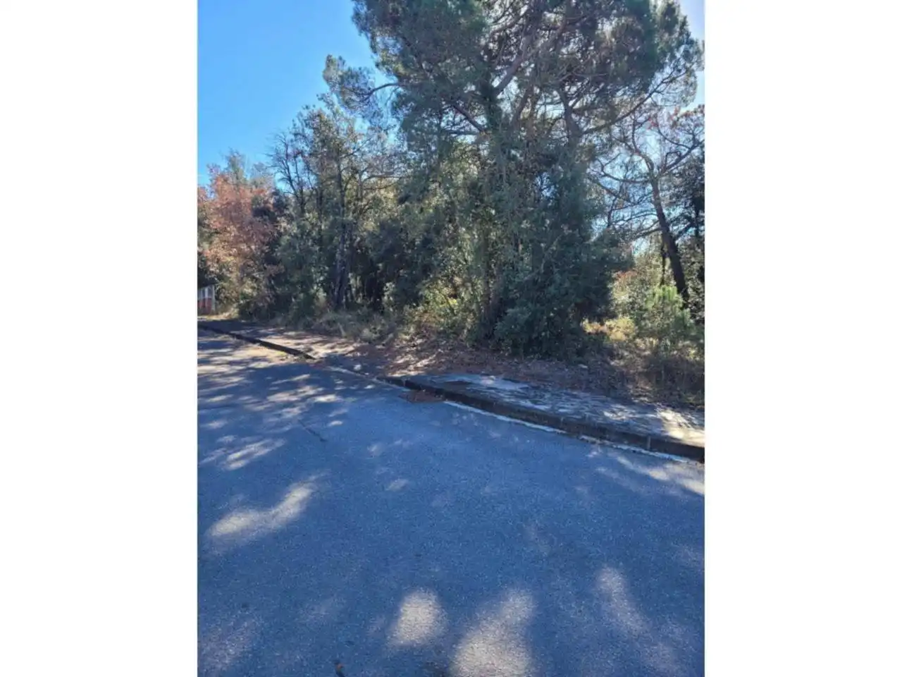 Terrain résidentiel à vendre à Calle Font Barbota, imagen 2