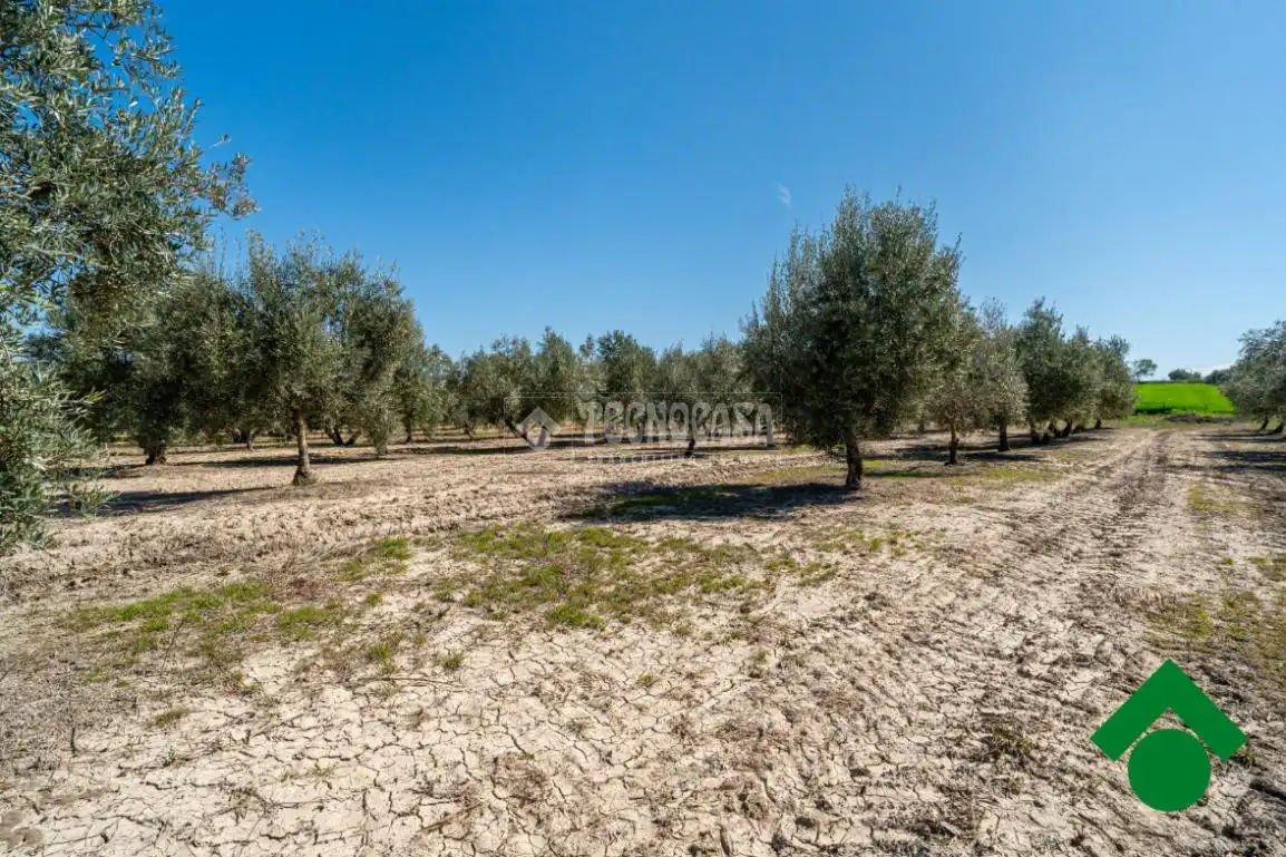 Finca rústica en venta en Chauchina