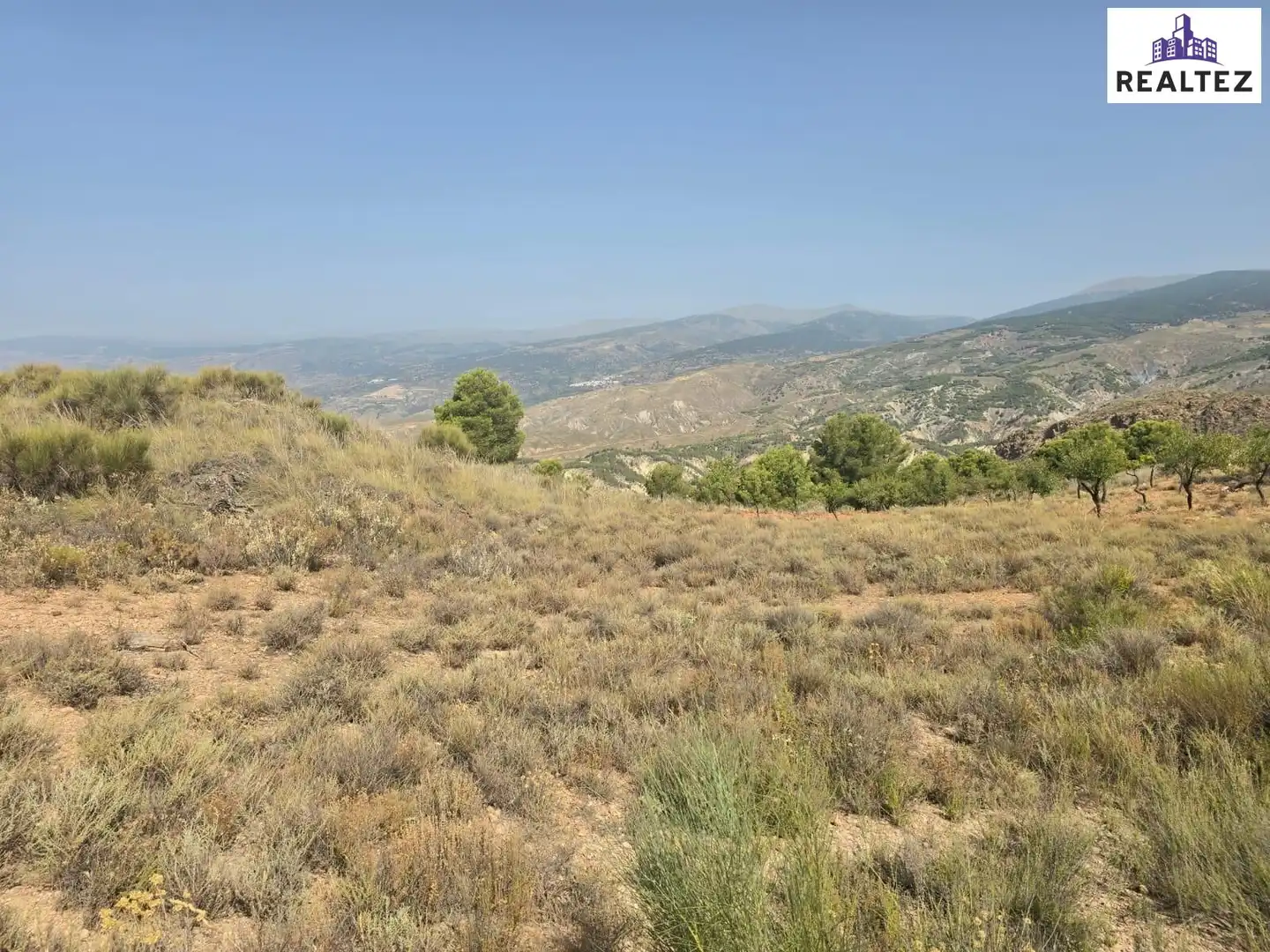Terrain rustique à vendre à Alcolea, imagen 13