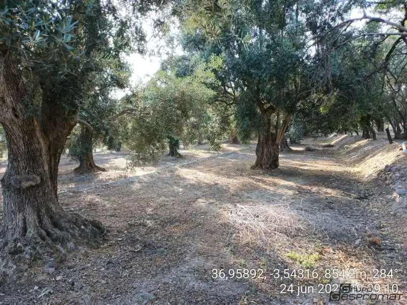 Terreno rustico in vendita a Calle poligono 2, parcela 207,208, Tomillar, Lecrín 0, imagen 13