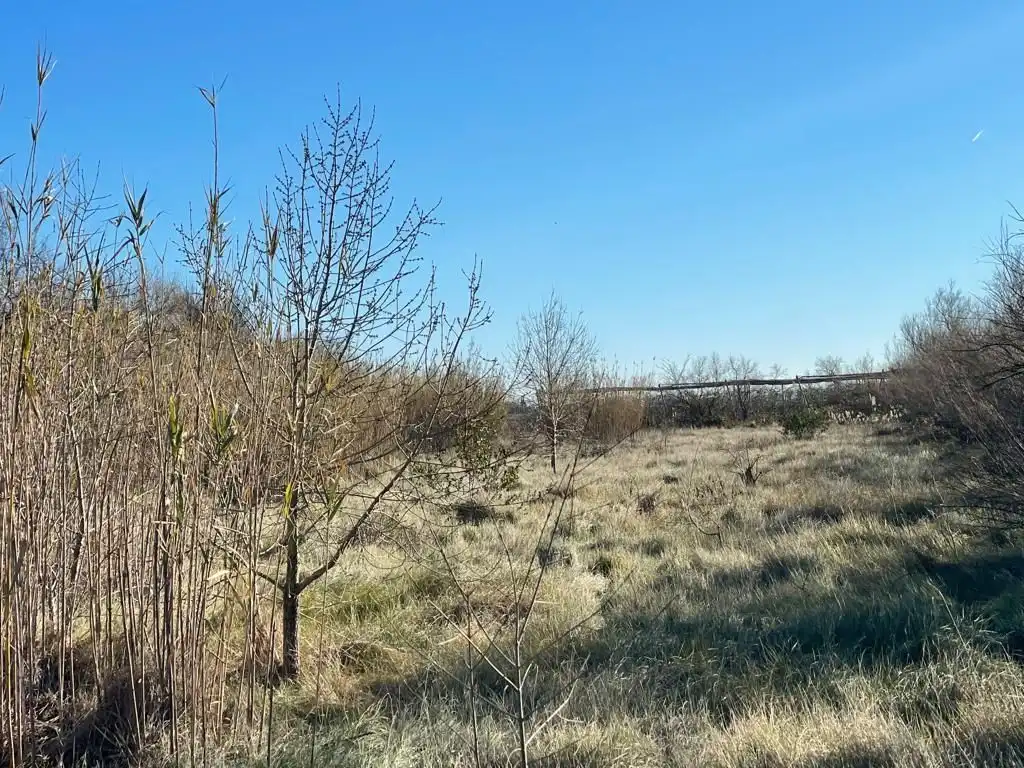 Rural land for sale in Sant Pere Pescador, imagen 41