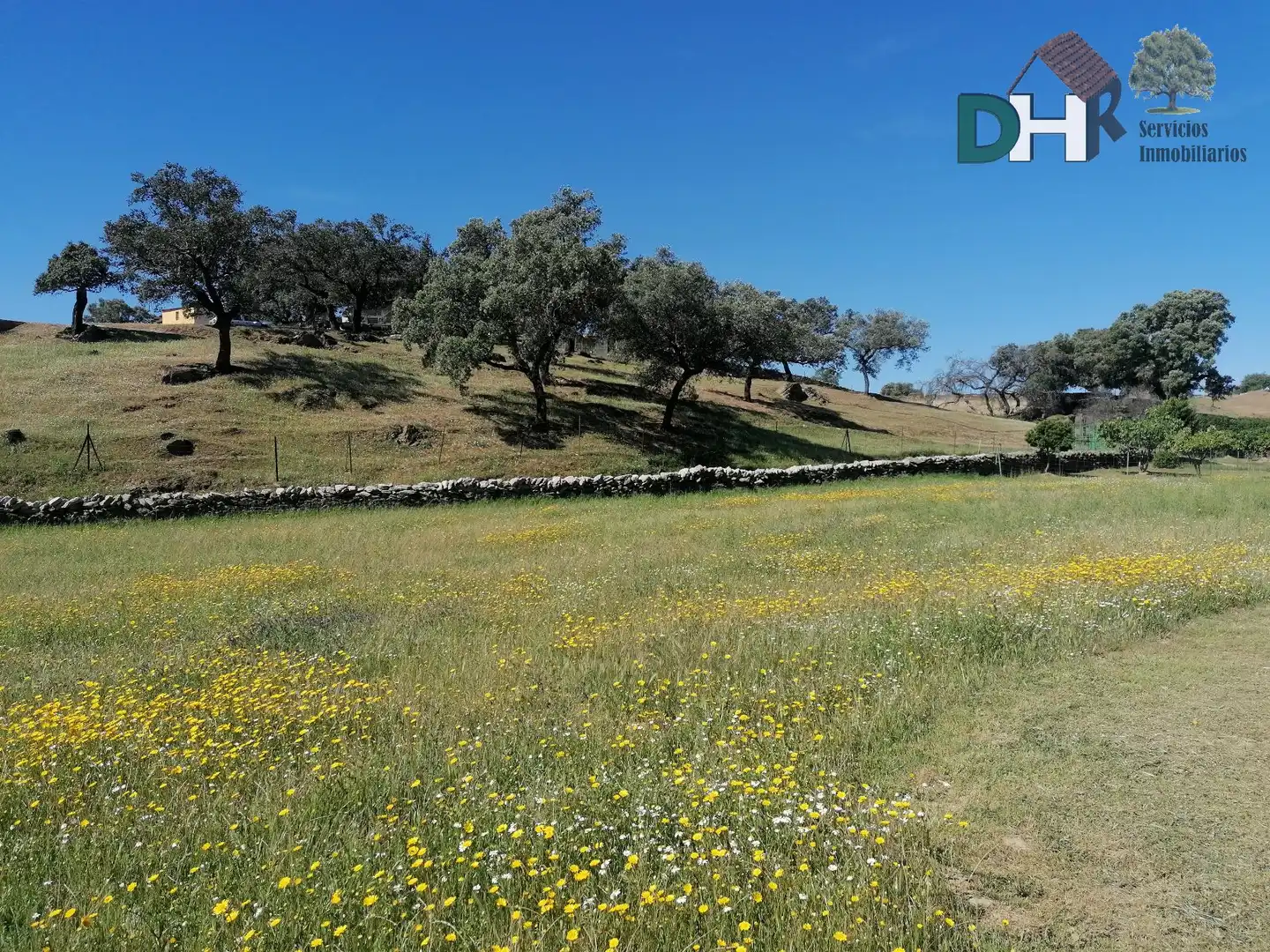 Residencial en venda a Serradilla
