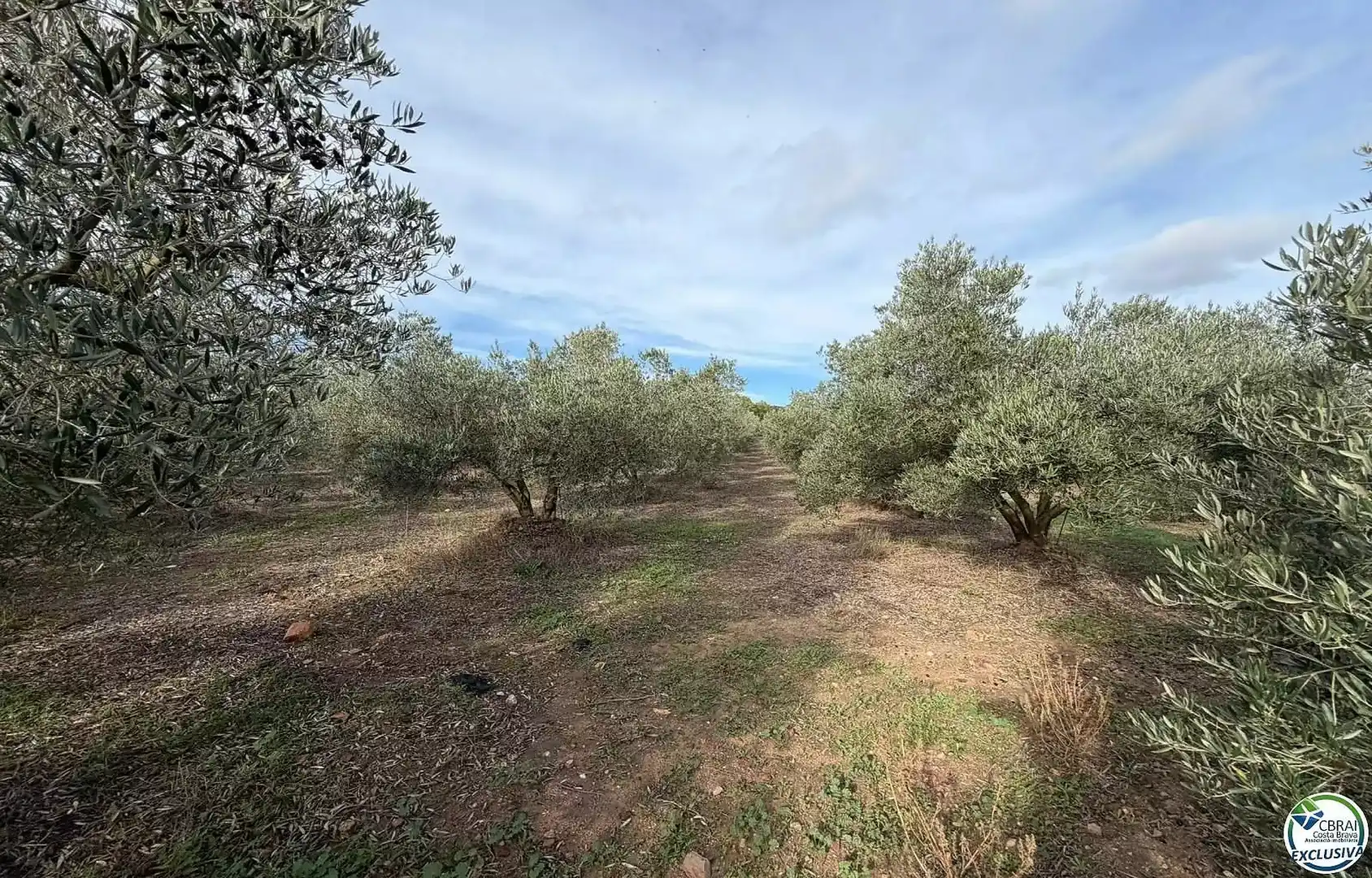 Residential land for sale in TORRE DEL VIENTO, imagen 16