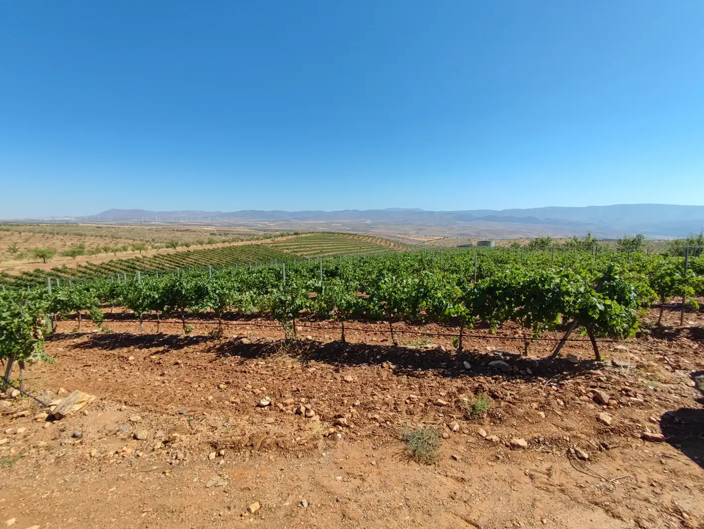 Exterior view of Land for sale in Huéneja