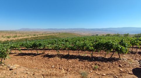 Foto 3 de Terreny en venda a Camino de la Loma a Fiñana, Huéneja, Granada
