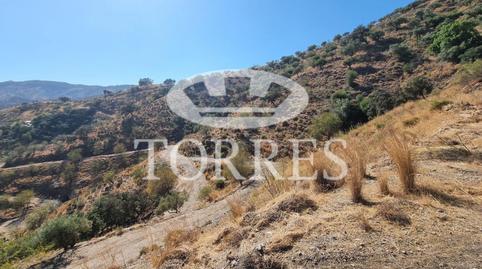 Foto 4 de Residencial en venta en Polígono Parcela 32, 11, Colmenar, Málaga