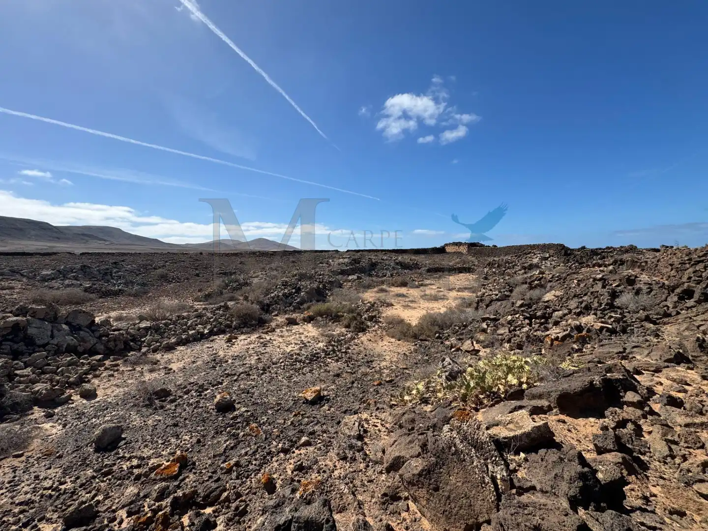 Land for sale in La Oliva