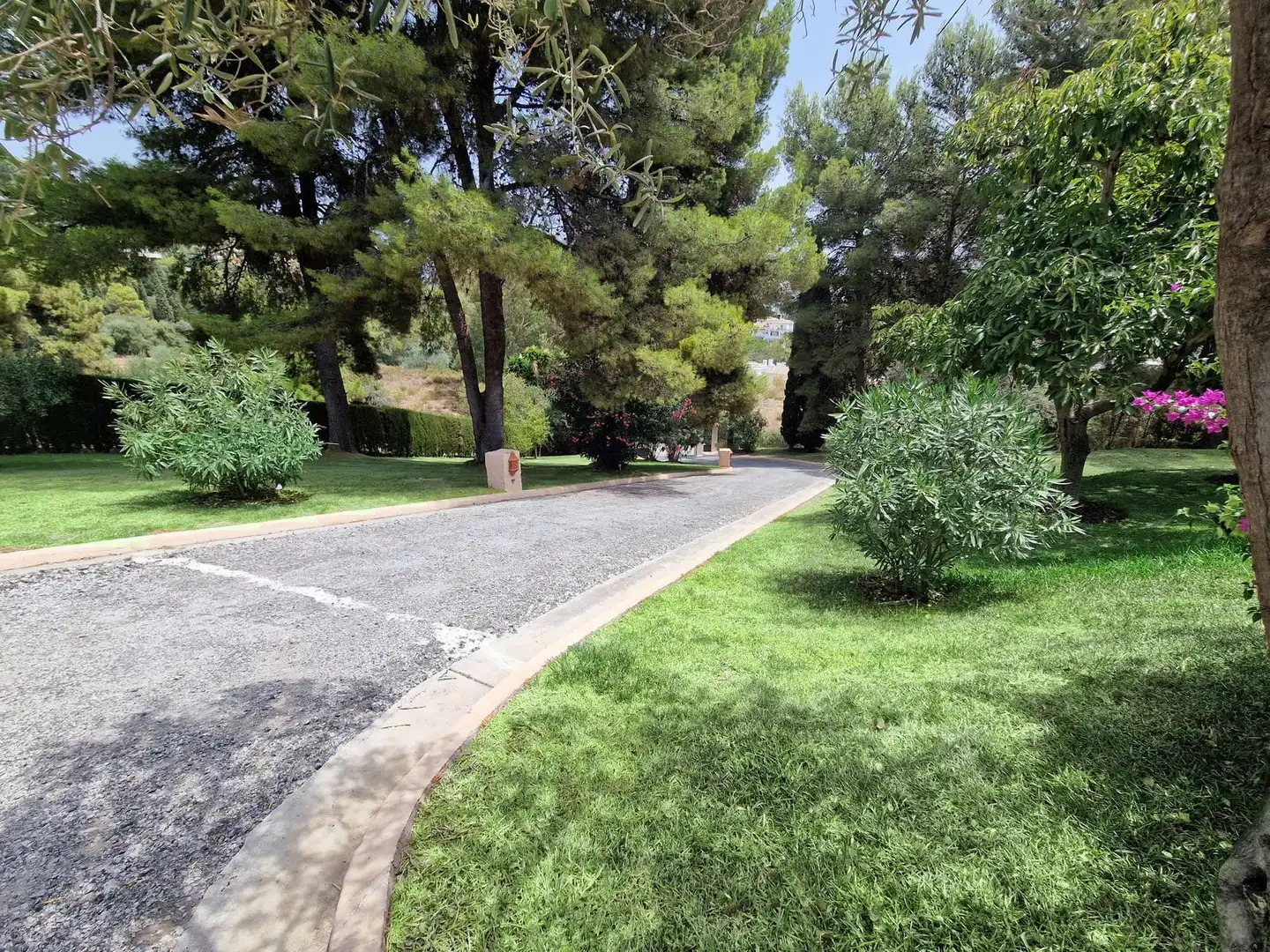 Chalet con piscina en venta en Calle la Pacheca Alta 22, imagen 25