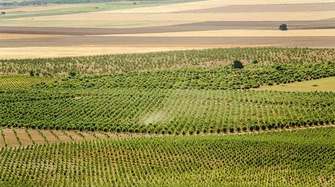 Photo 5 of Country house for sale in Jumilla, Murcia