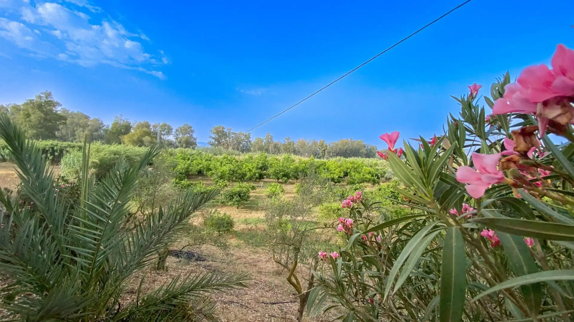 Casa rústica amb jardí en venda a VIUDA CHICA 1, imagen 2