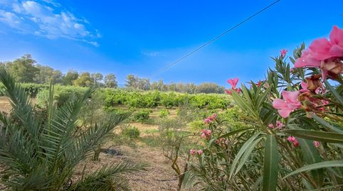 FINCA DE USO AGRARIO CON CASA  EN COÍN. MÁLAGA, imatge 2