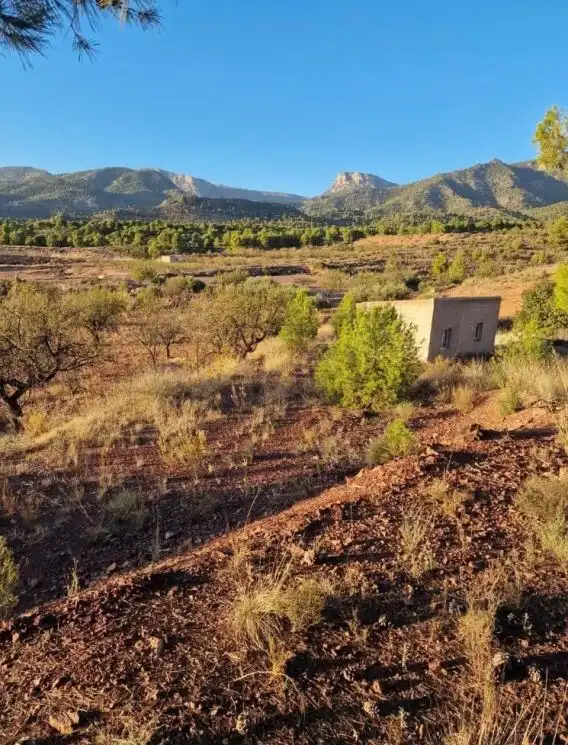 Casa o chalet en venta en Aledo