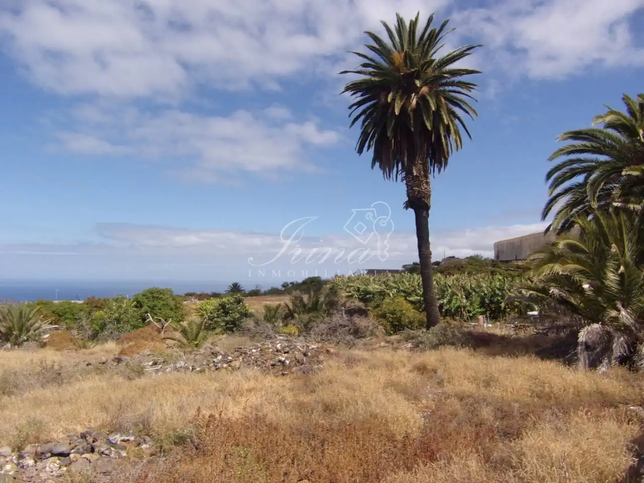 Finca rústica en venta en Tijarafe