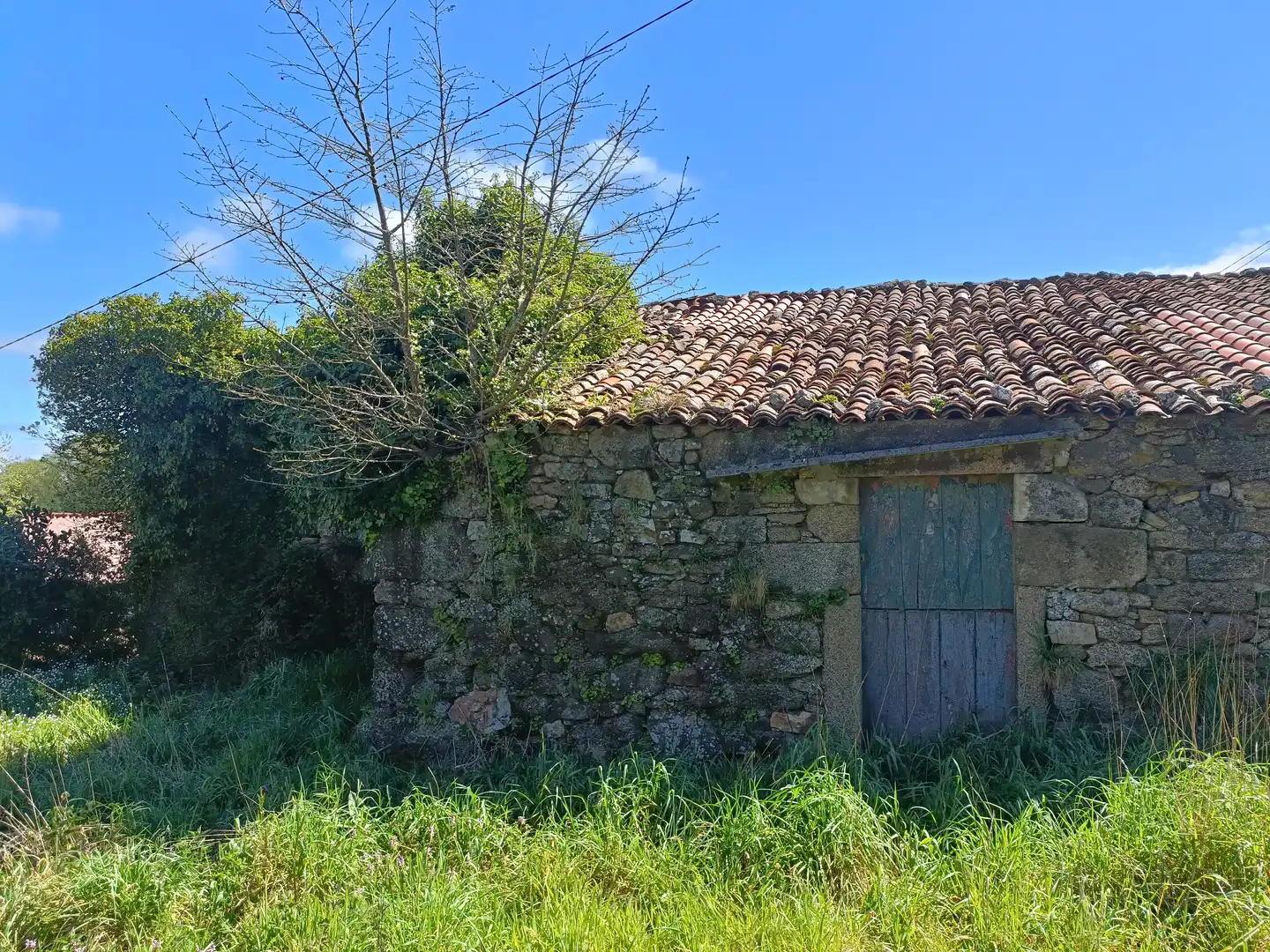 Casa con jardín en venta en Curtis, imagen 13