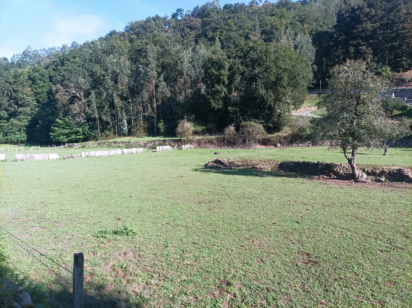 Terreni e lotti in vendita a San Juán de Raicedo - SAN JUAN DE RAICEDO, imagen 4