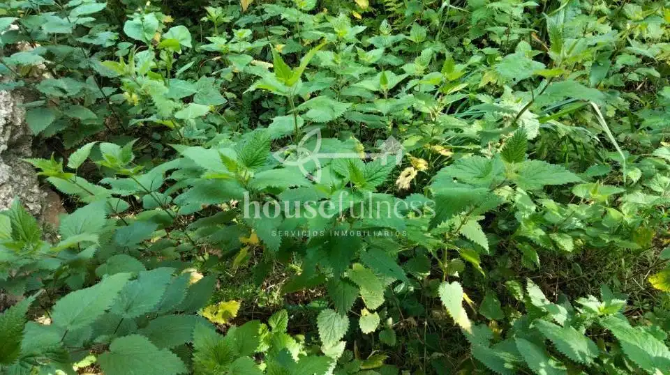Country homes for sale in Ortigueira  with Private garden