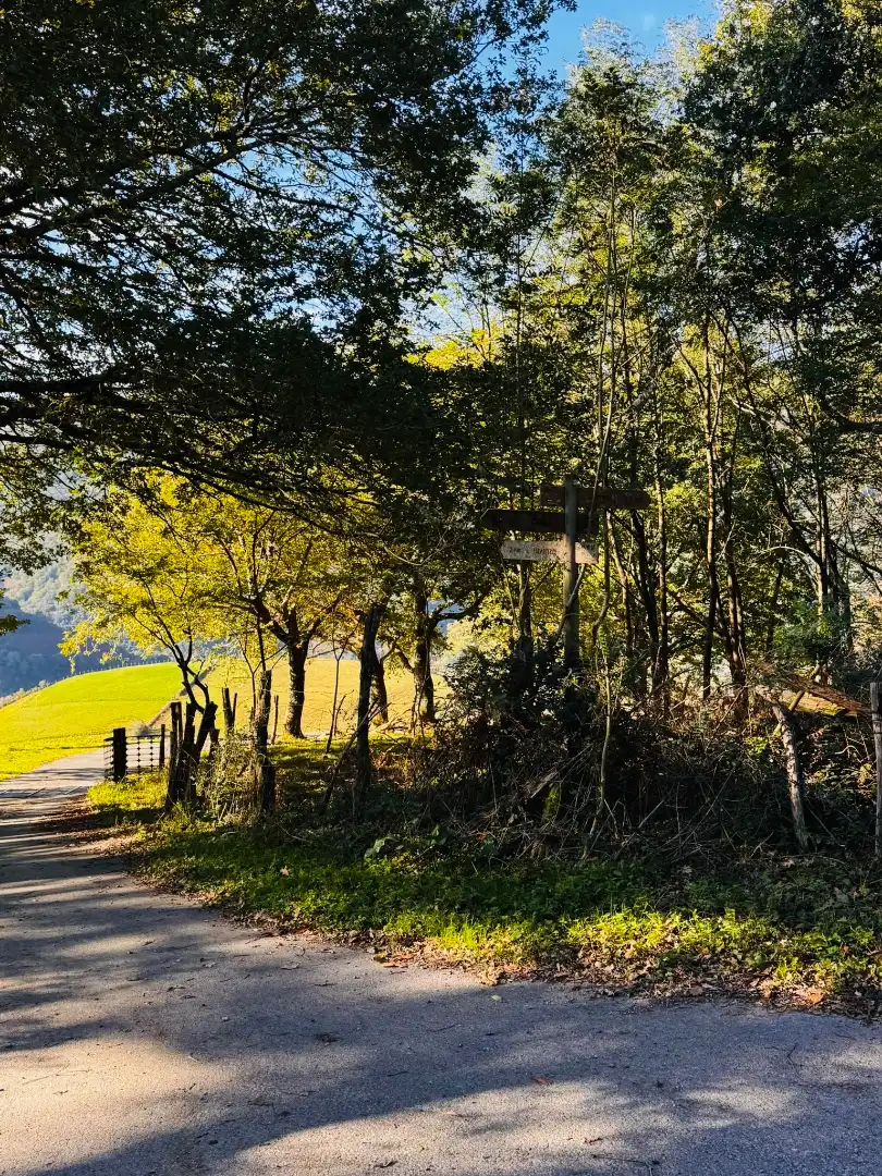 Finca rústica en venta en Gaztelu, Gipuzkoa