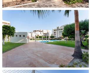 Piscina de Planta baixa de lloguer en El Ejido amb Aire condicionat i Piscina