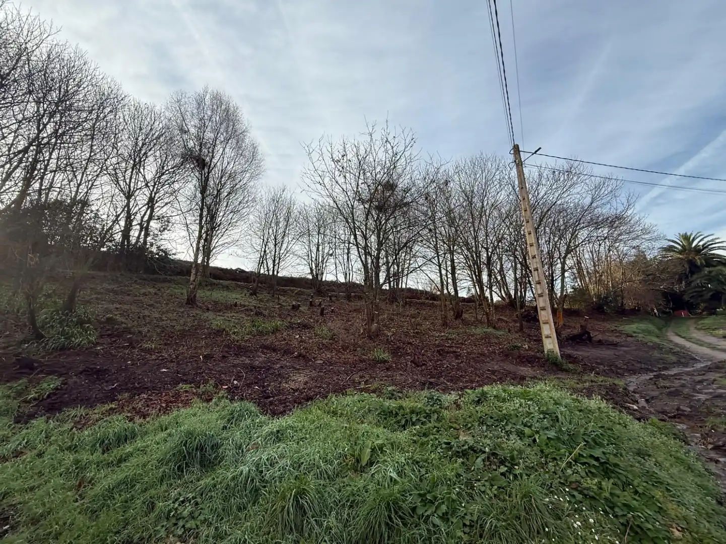 Lands and plots for sale in Pillarno - Aldea Pipe, imagen 8