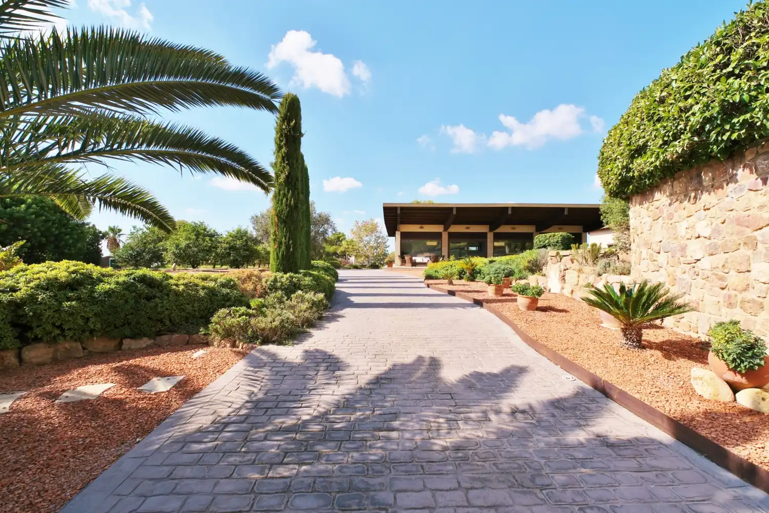 Vista exterior de Casa o chalet en venta en Puçol con Aire acondicionado, Calefacción y Jardín privado