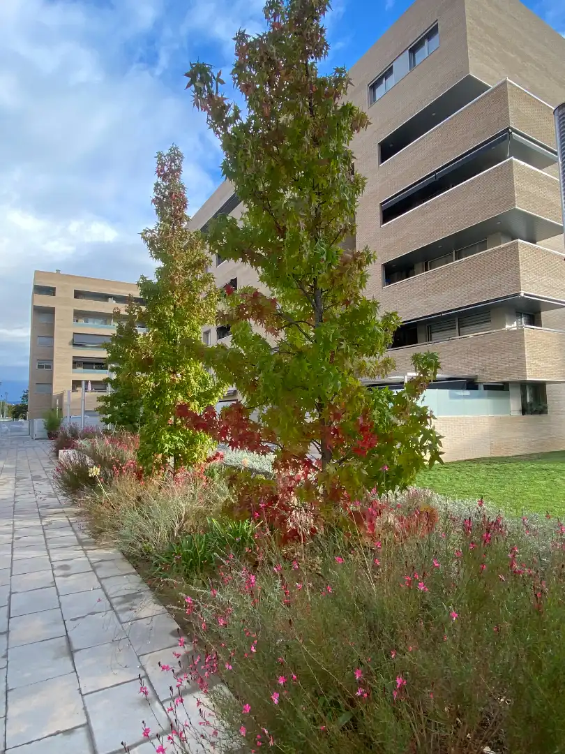 New build Flat with pool for sale in Carrer del Pla de Salt, imagen 5