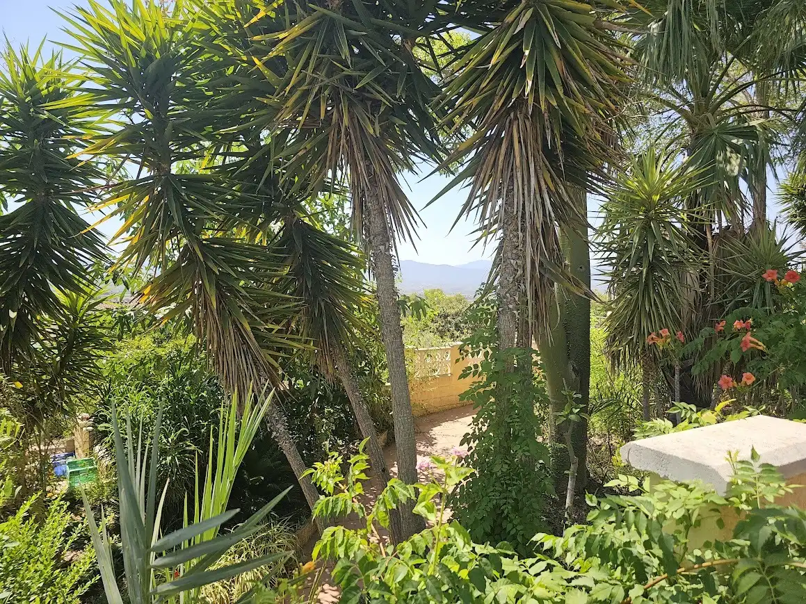 Jardín de Casa o chalet en venta en Benigànim con Piscina