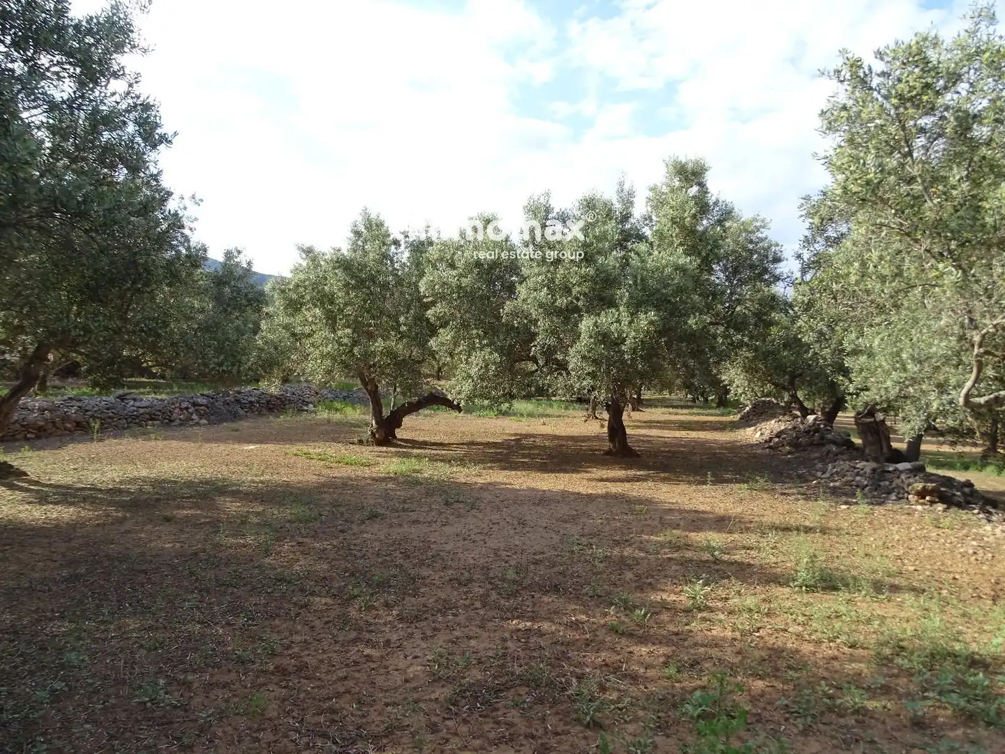 Terrain résidentiel à vendre à 14, imagen 8