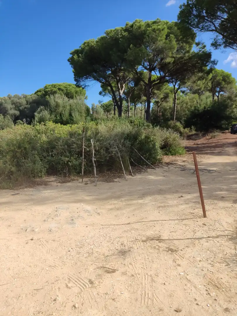 Terreni e lotti in vendita a Las Lagunas - Campano, imagen 5
