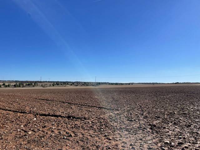 Terreno en Venta en LA HIGUERILLA en Pozuelo del Rey
