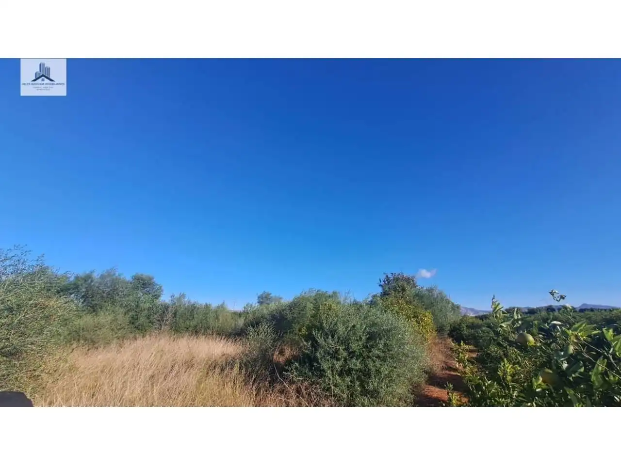 Terrain industriel à vendre à Les Boqueres - Santa Quiteria, imagen 8