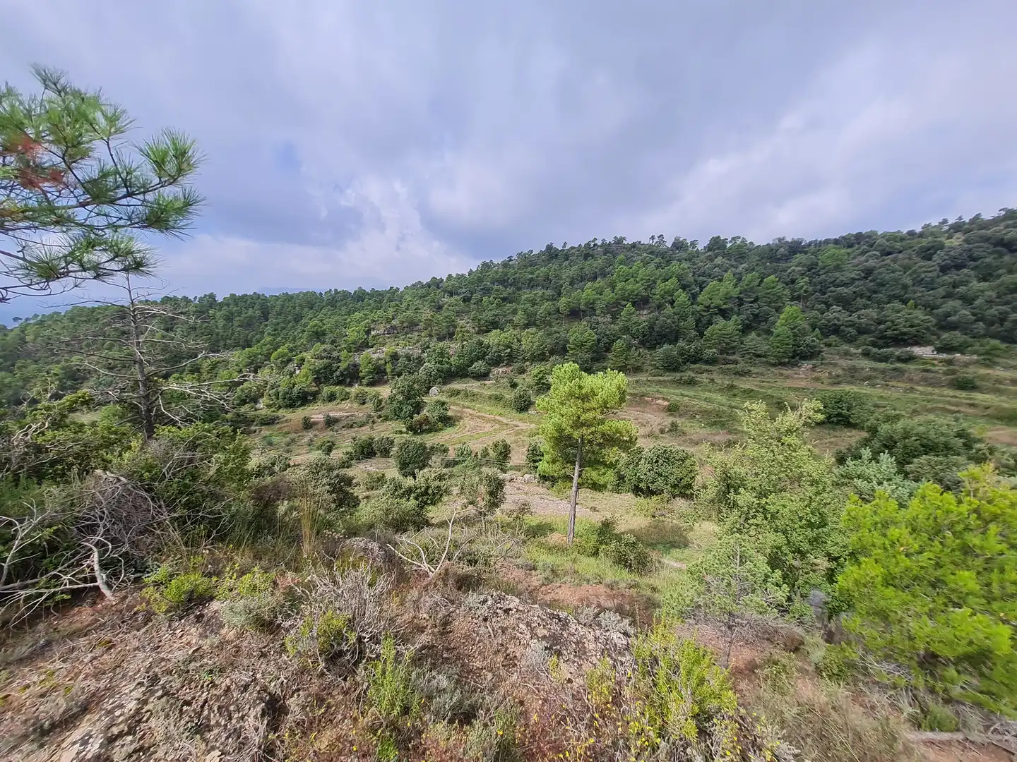 Country homes for sale in Olvan