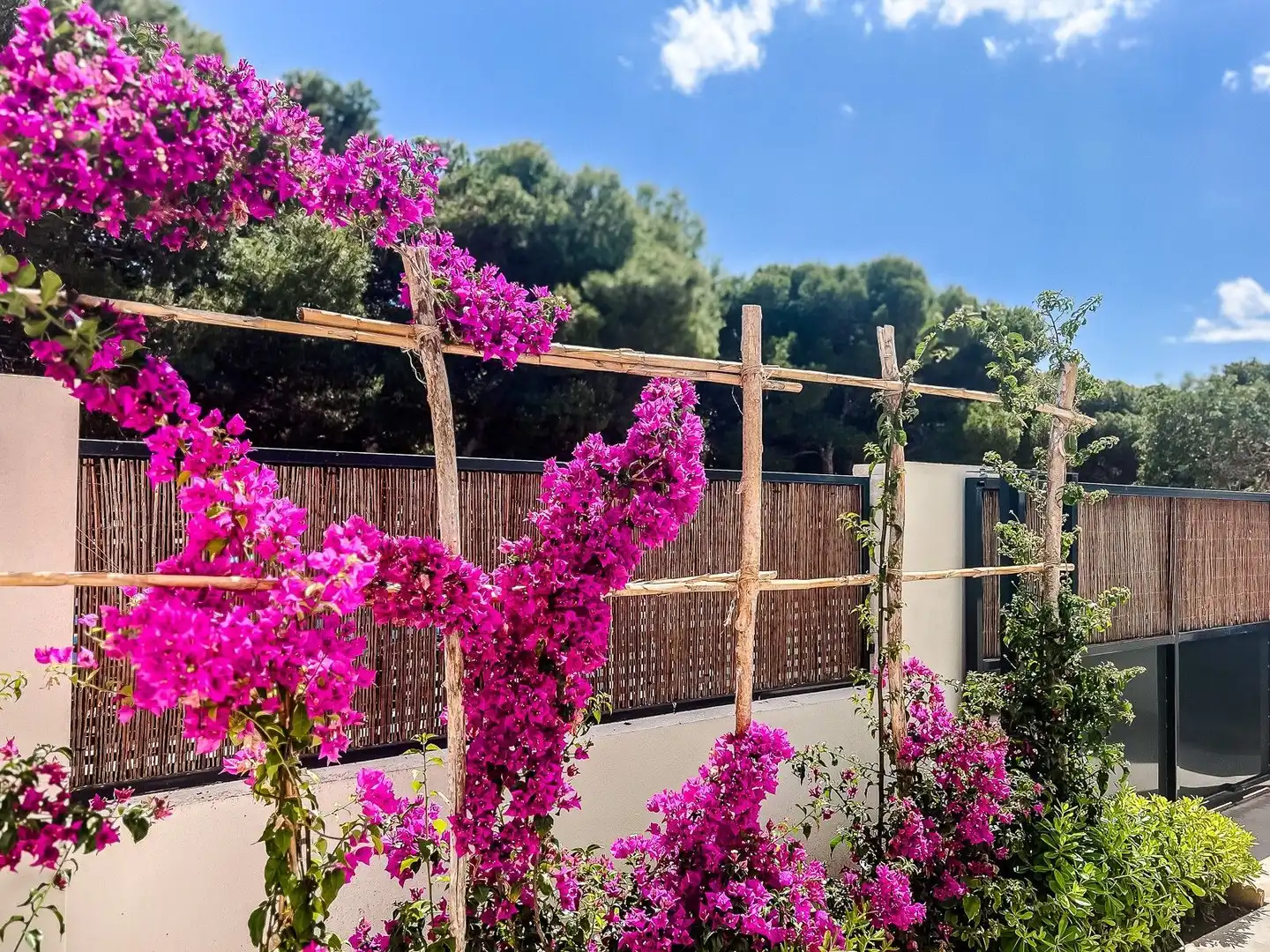 Appartement compact avec piscine à vendre à Santiago de la Ribera, imagen 30