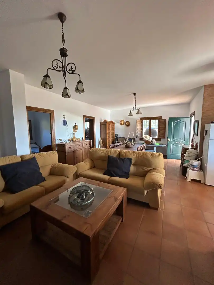 Sala d'estar de Finca rústica en venda en Macharaviaya amb Terrassa, Traster i Piscina