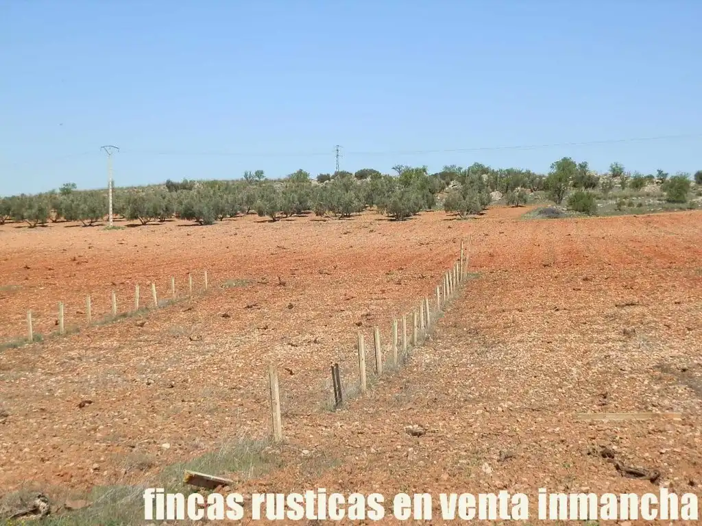 Rural land for sale in Valdepeñas, imagen 24